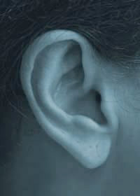 Macrotia - big ear and earlobe 